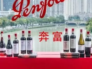 “奔富酒园”商标案最新进展！