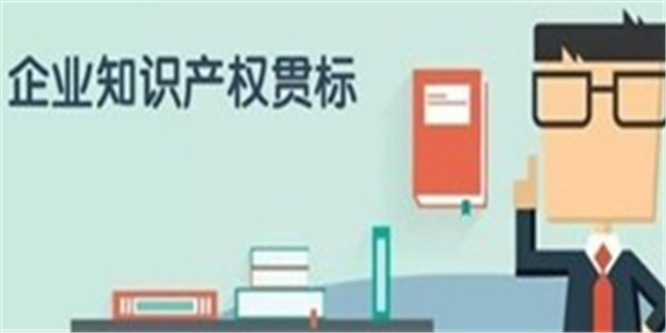 10万元，关于申报2020年深圳市龙岗区知识产权贯标奖励的通知