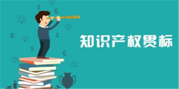 2020年河北省知识产权贯标培育项目申报指南