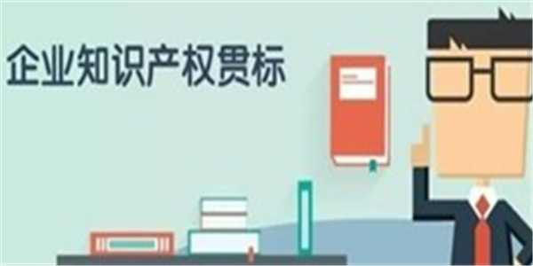 奖励10万元，2020年云南省知识产权贯标补助申报和备案通知