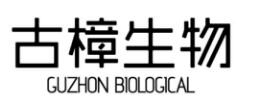 古樟生物 GUZHON BIOLOGICAL