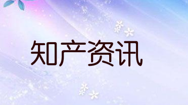 商标局最新发布！指定收取单独规费国家的收费标准