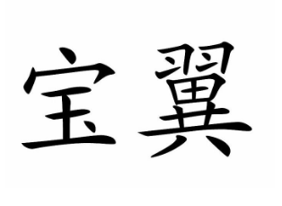 宝翼 宝翼