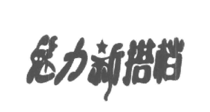 魅力新搭档