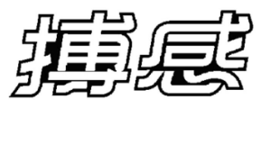 搏感