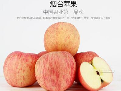 山东众益商务为果农注册商标助其发展，烟台苹果荣获“十大苹果品牌”