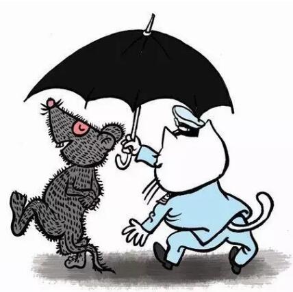 “下雨”时为商标“撑起一把伞”：版权登记让商标保护更周全