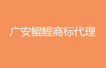 广安鲲鲤商标代理有限公司