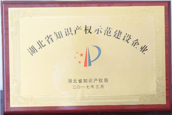 湖北武汉华电被授予“湖北省知识产权示范建设企业”