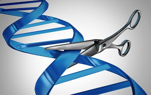 “基因魔剪”CRISPR-Cas9技术的专利之争