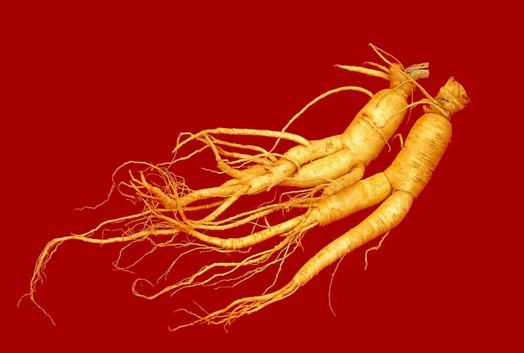 人参商标注册属于第几类 人参商标注册属于第几类