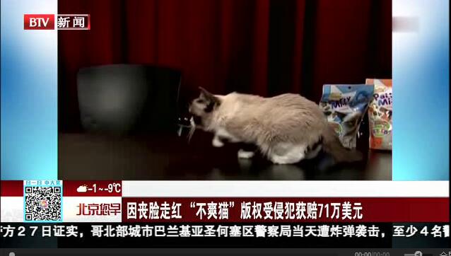 “不爽猫”因版权侵权获赔71万美元
