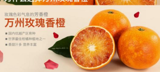 万州玫瑰香橙收获1.2亿元订单 成了参会客商的抢手货