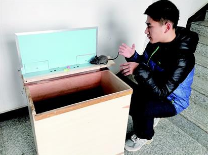 武汉市一高中生发明捕鼠神器登上央视 该装置获世界金奖