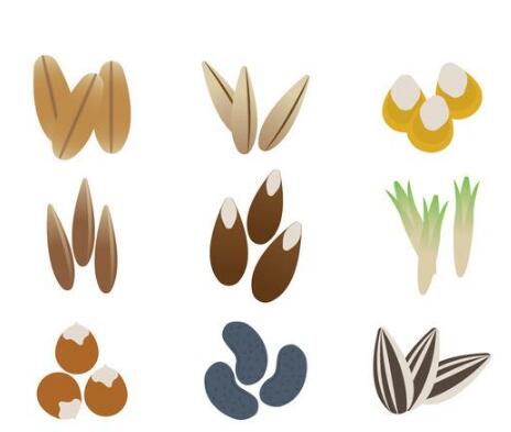 种子商标注册属于第几类？