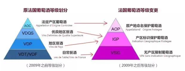 三分钟，看懂所有的法国葡萄酒酒标