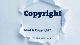 版权治理包括保护，更强调运用