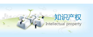 2019中国知识产权保护高层论坛在京启幕