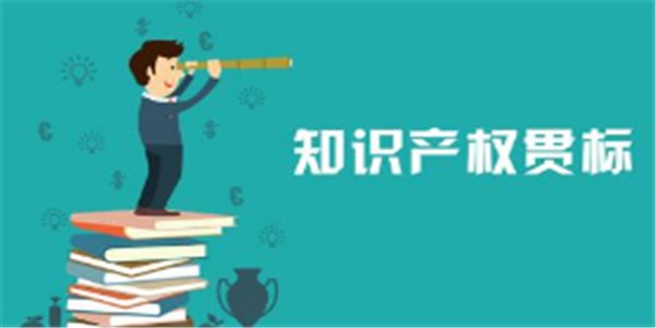 重庆企业如何做知识产权贯标认证 贯标辅导认证