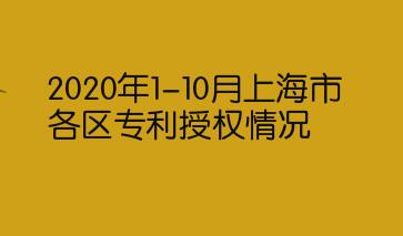 2020年1-10月上海市各区专利授权情况
