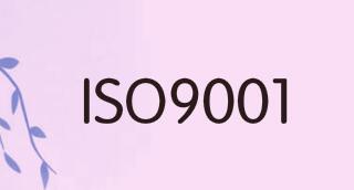 ISO9001认证：企业实施过程具备的条件