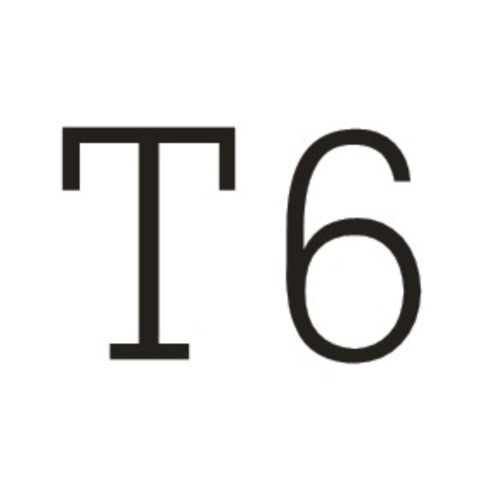T 6