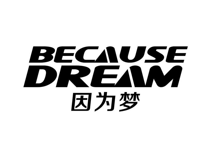 因为梦 BECAUSE DREAM