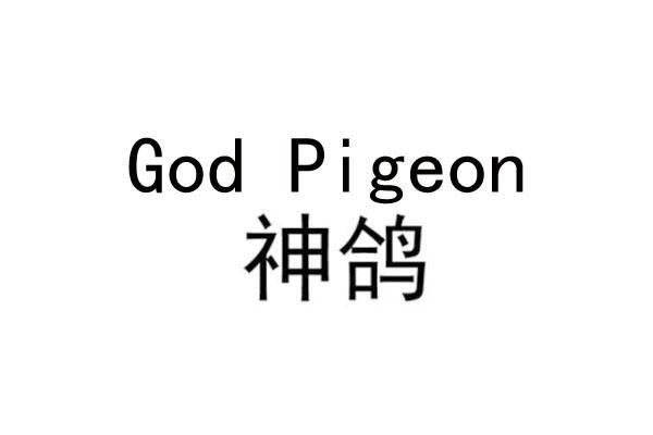 神鸽 GOD PIGEON