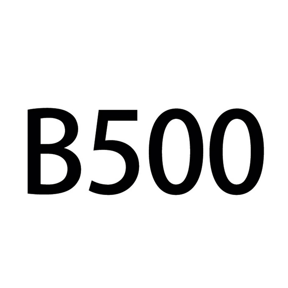 B 500