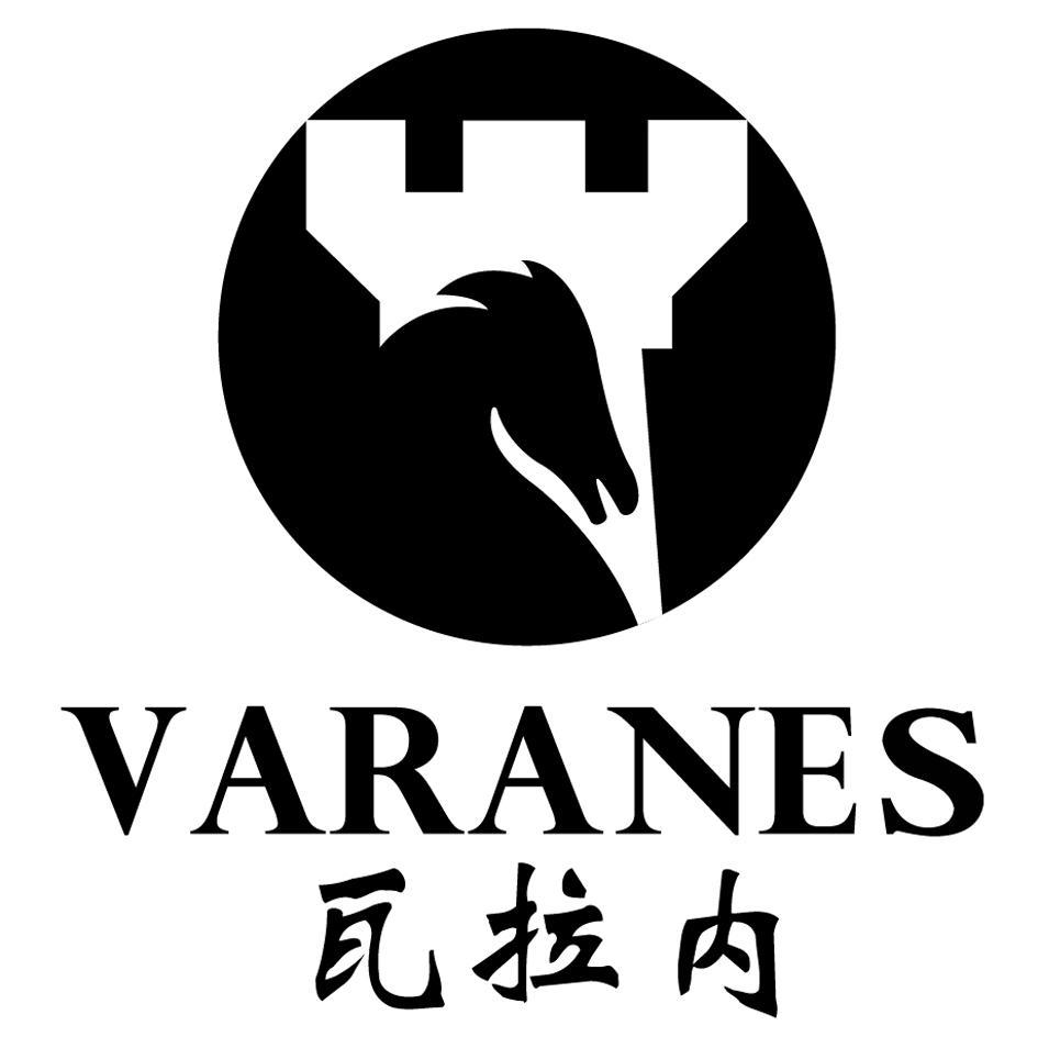 瓦拉内 VARANE