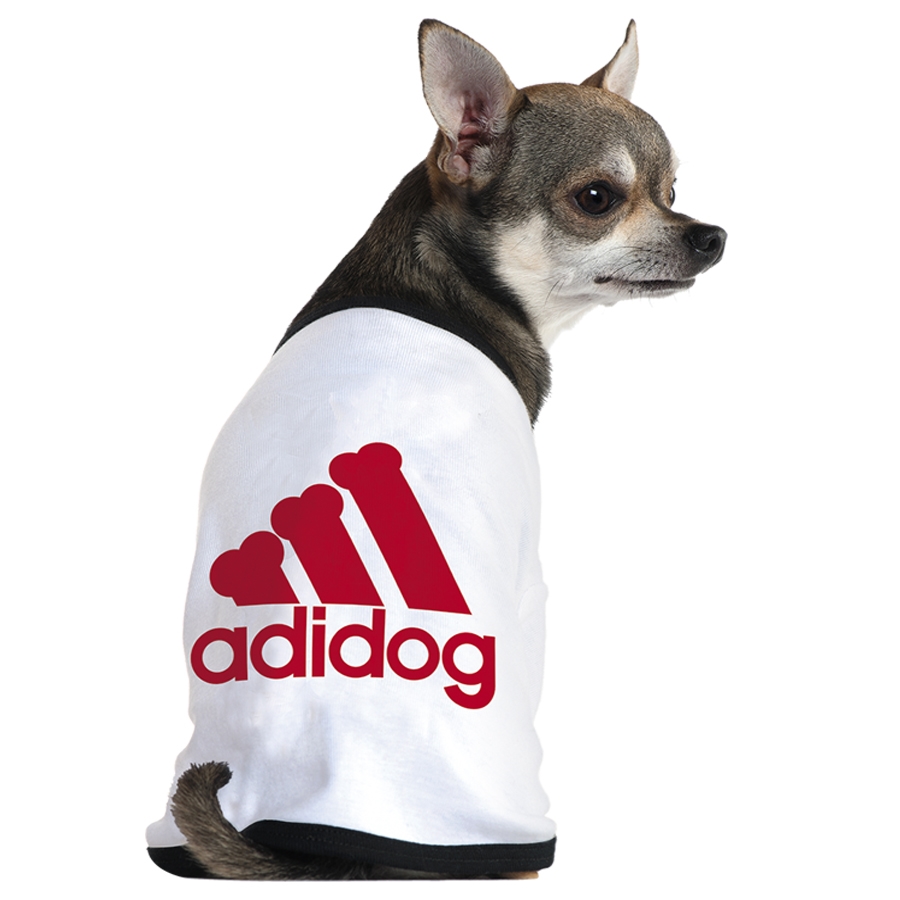 Adidas还有宠物服装支线Adidog？ 其实是商标侵权