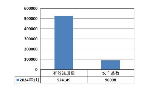 截至2024年1月 贵州省有效注册商标达524149件