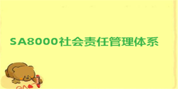 SA8000