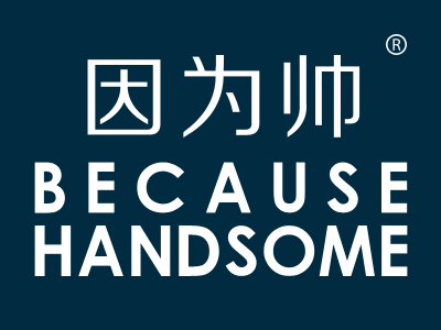 因为帅 BECAUSE HANDSOME