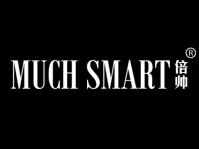 倍帅 MUCH SMART