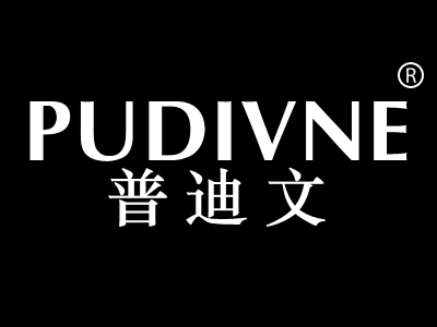 普迪文 PUDIVNE