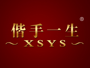 偕手一生 XSYS