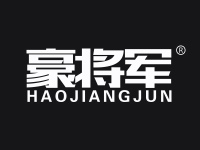 豪将军