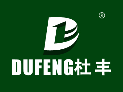 杜丰 D