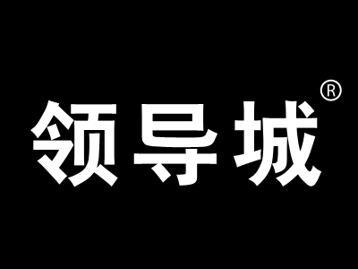 领导城