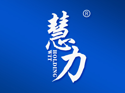 慧力 HOLDING WIT