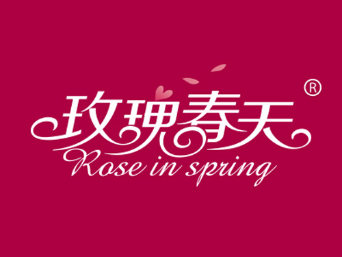 玫瑰春天  ROSE IN SPRING