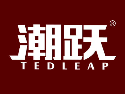 潮跃 TEDLEAP