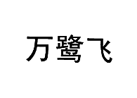 万鹭飞