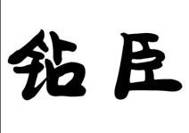 钻臣